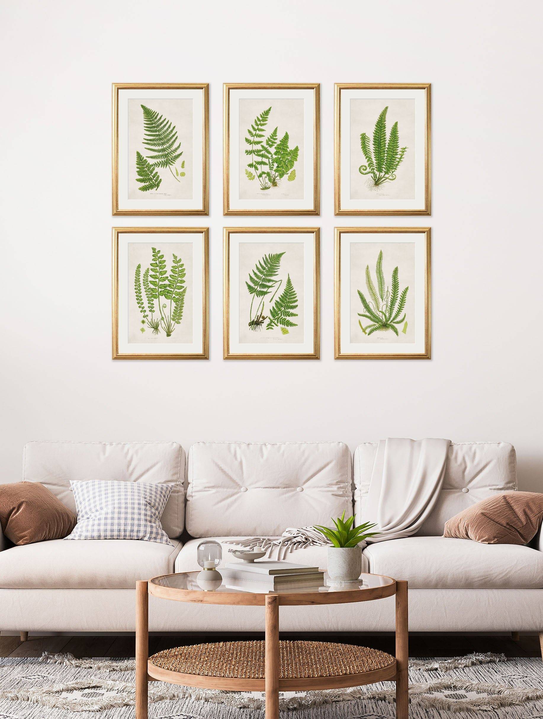 Shop Collection of 6 Ferns Botanical Wall Art Online – Blythe Living