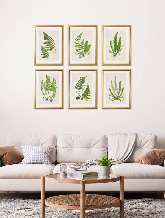 Shop Collection of 6 Ferns Botanical Wall Art Online – Blythe Living