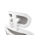 Shop Elite mesh office chair today