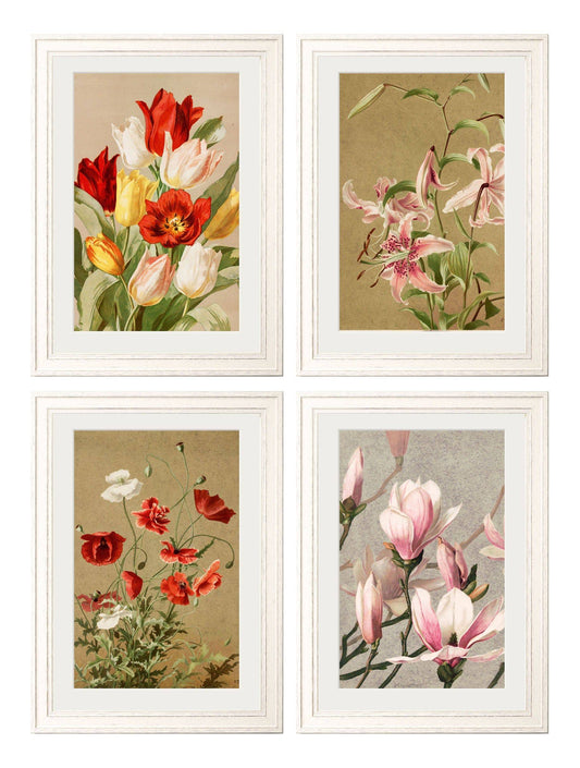 Shop Floral Group botanical framed prints ivory 1831 collection UK
