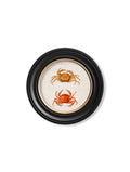 Shop Large 70cm c.1876 Marine Animal Round Framed Prints for Gallery Walls