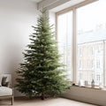Shop Real Norway Spruce Christmas Tree 