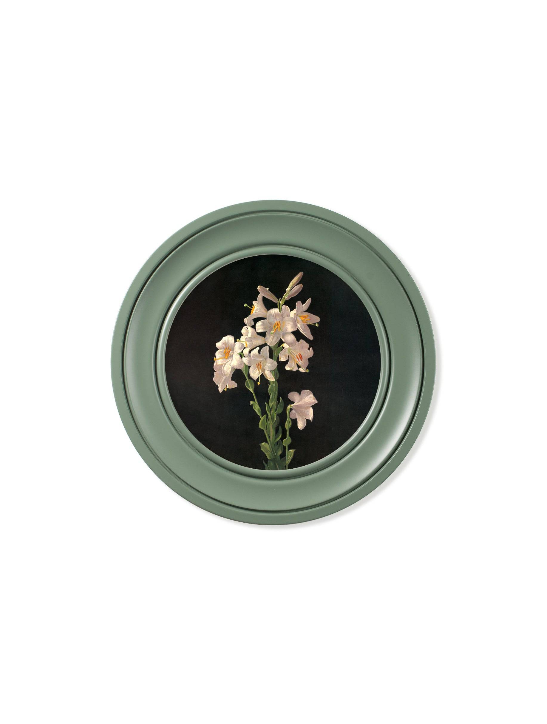 Shop Victorian botanical lily prints in green round frame online
