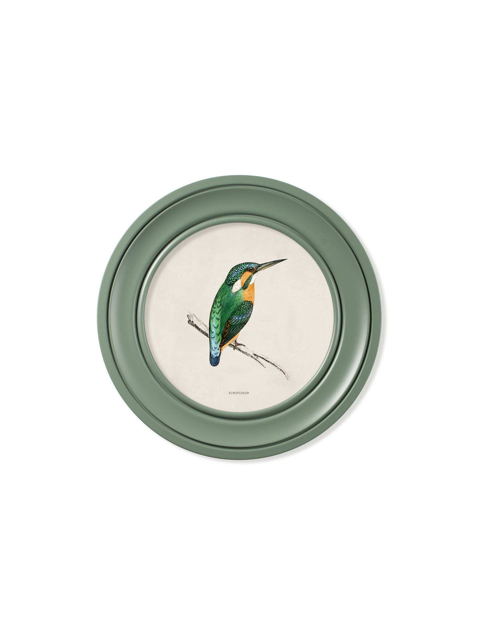 Shop Victorian natural history kingfisher bee eater green round frame online
