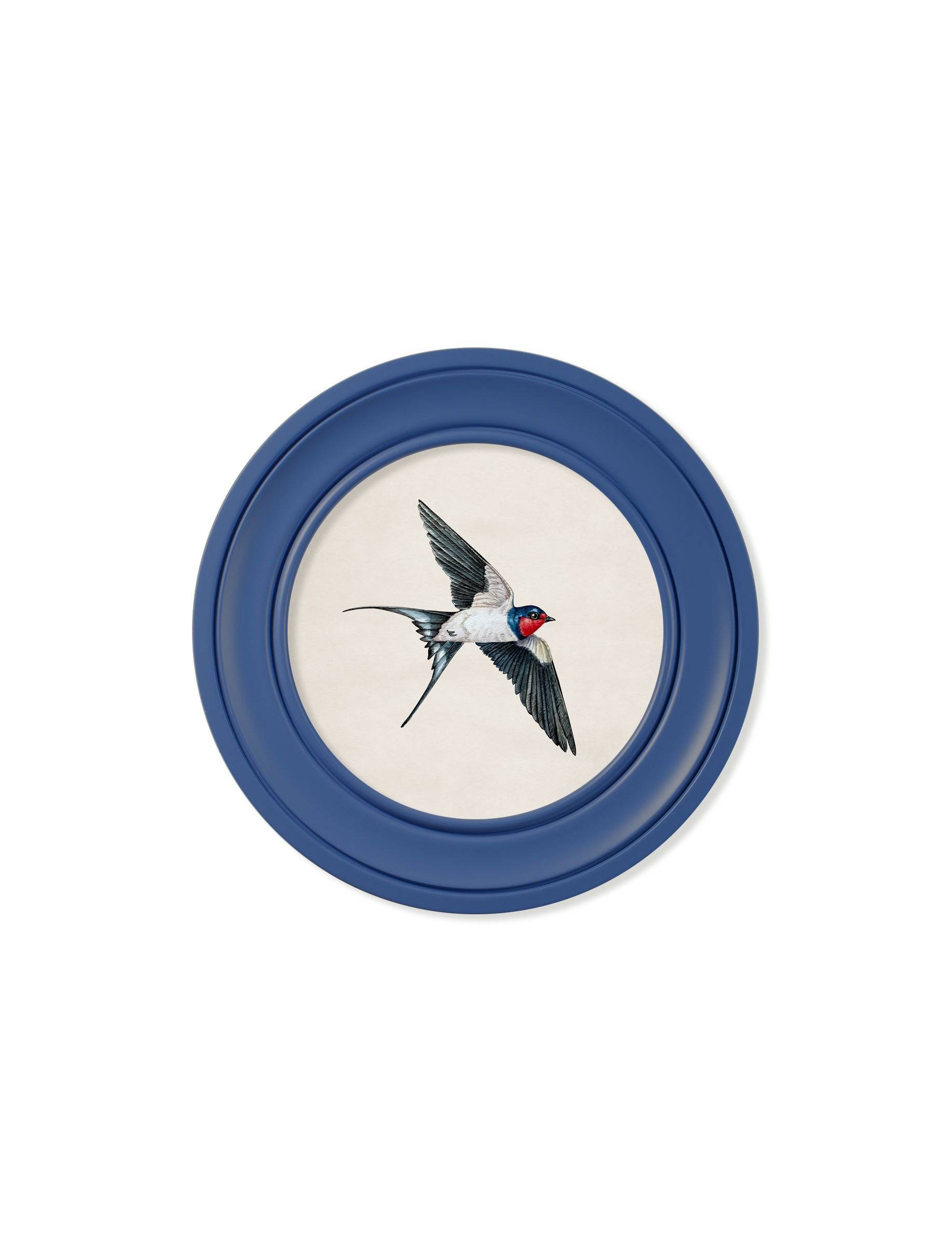 Shop Victorian watercolour swallow print blue Oxford round frame online
