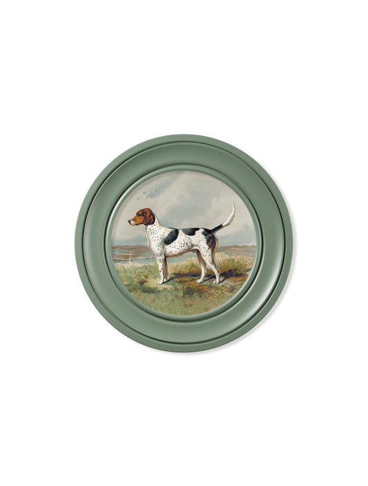 Shop Victorian working dog illustration green Oxford round frame online
