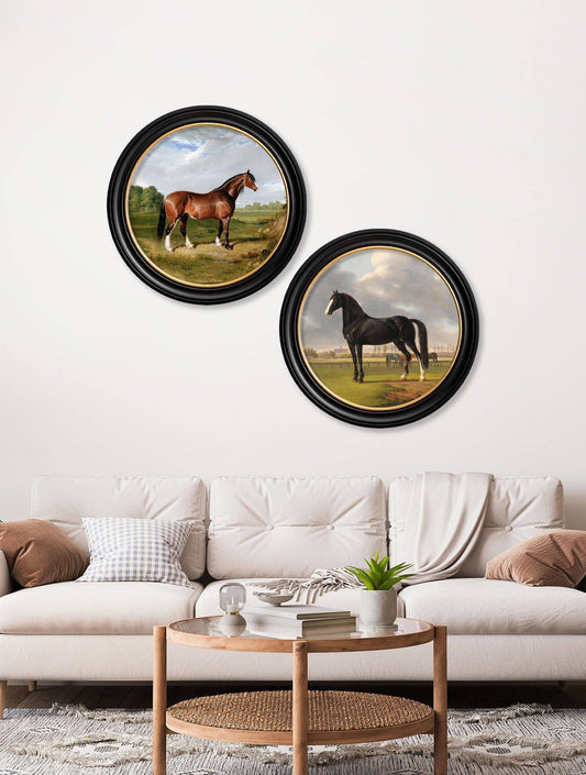 Shop antique 1840 horse equestrian round framed wall art online UK
