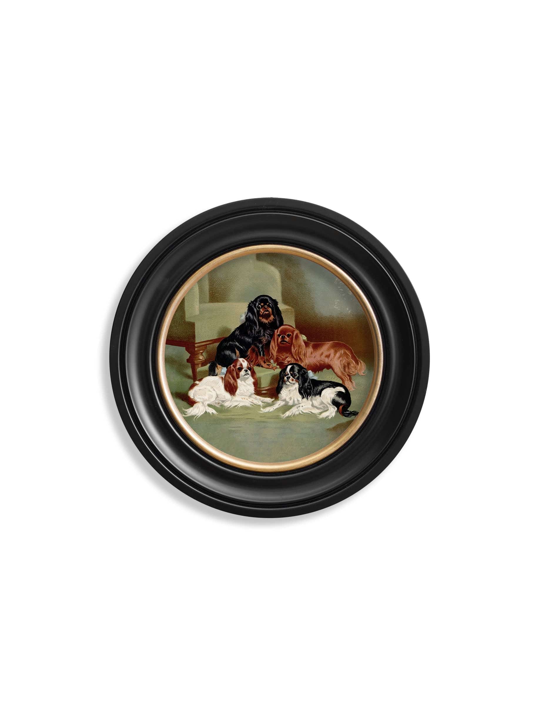Shop antique British dog breed round framed print online
