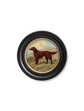 Shop antique British working dog round framed print online
