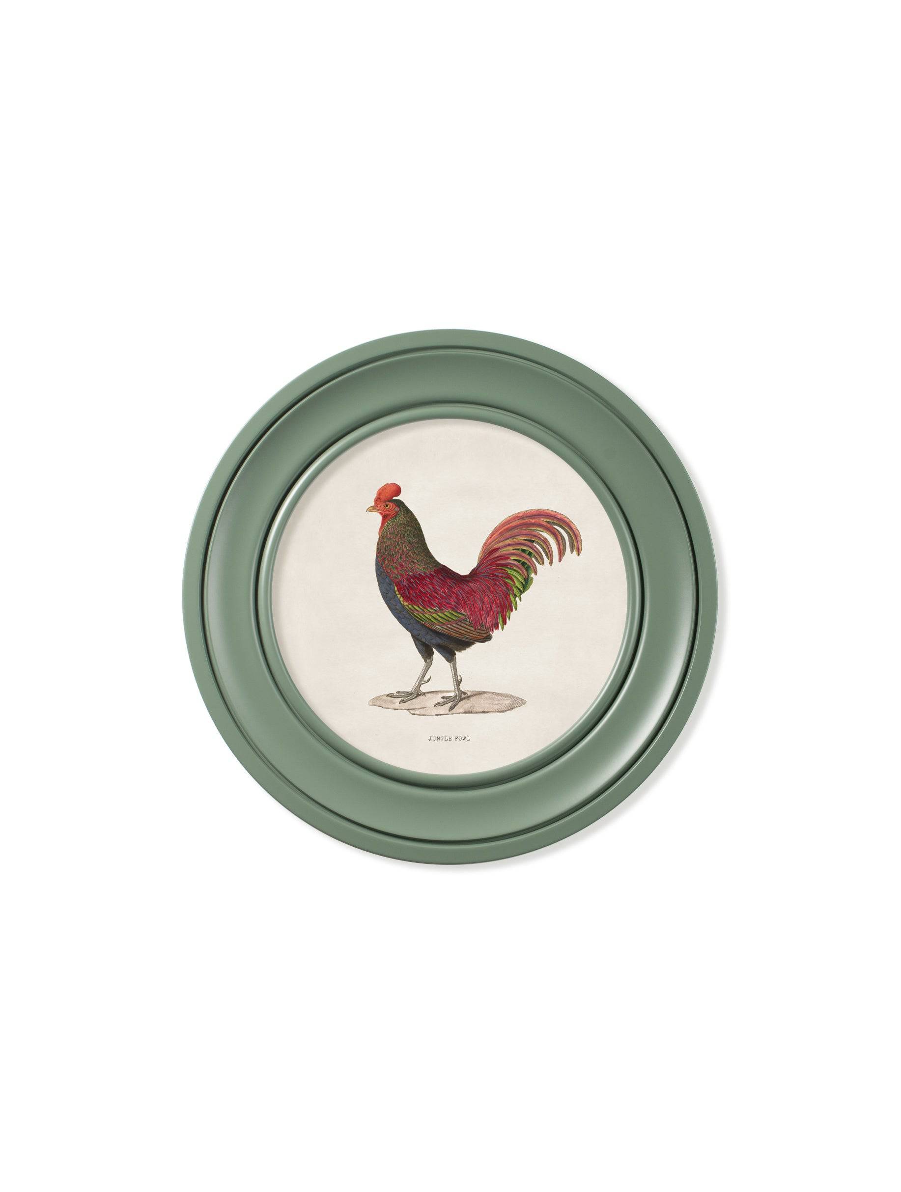 Shop antique French junglefowl print green Oxford round frame online
