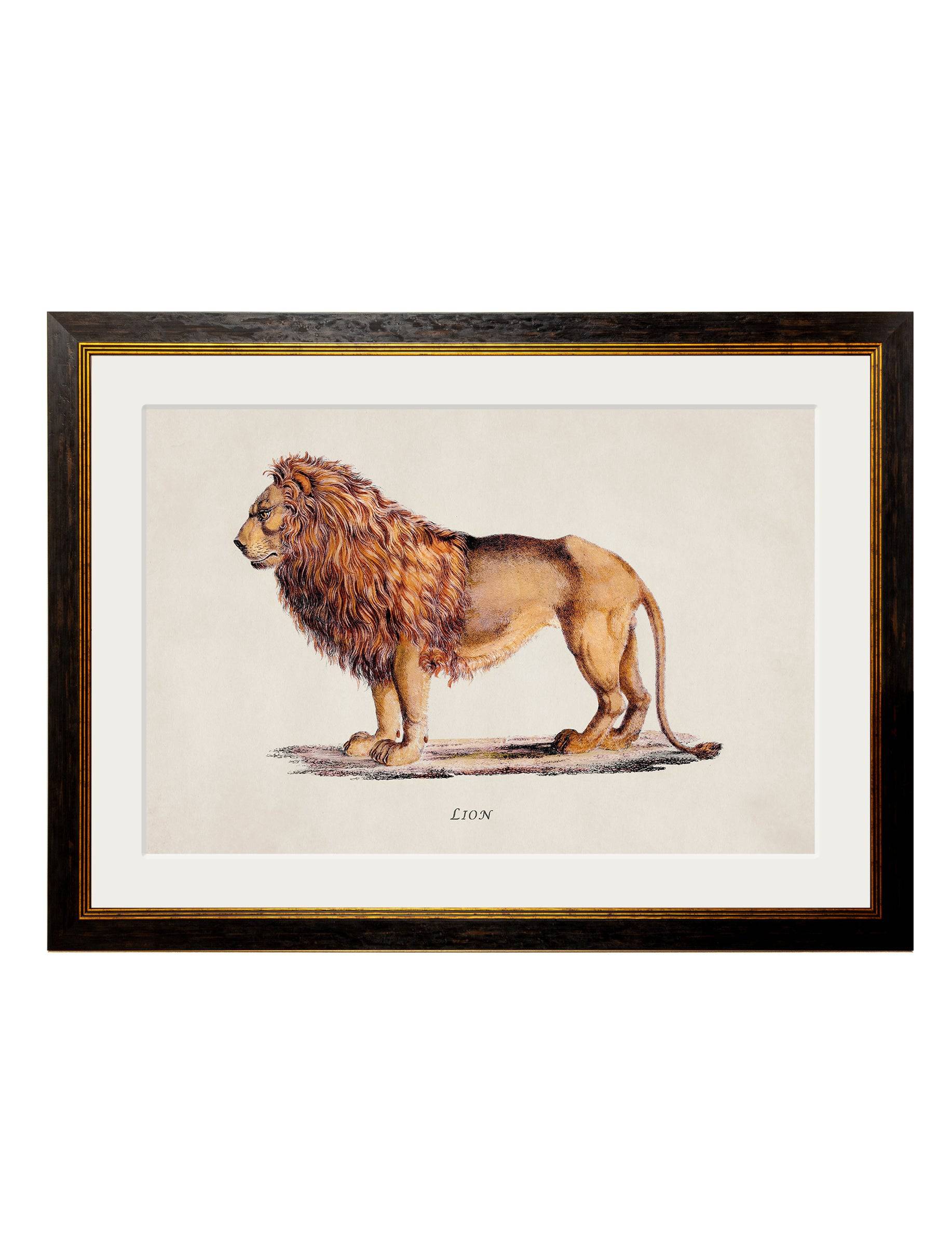 Shop antique French lion and lioness round wall art online