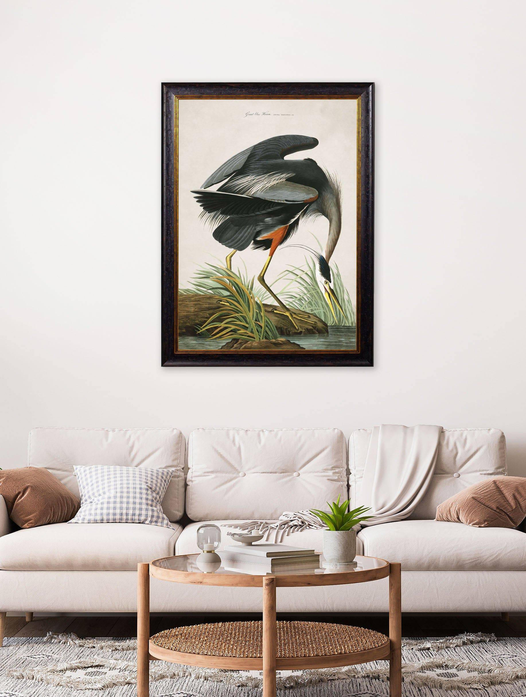 Shop antique bird wall art with mount and Oxford frame