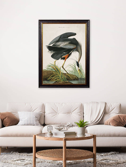 Shop antique bird wall art with mount and Oxford frame