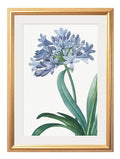 Shop antique blue flower wall art set with gold frames