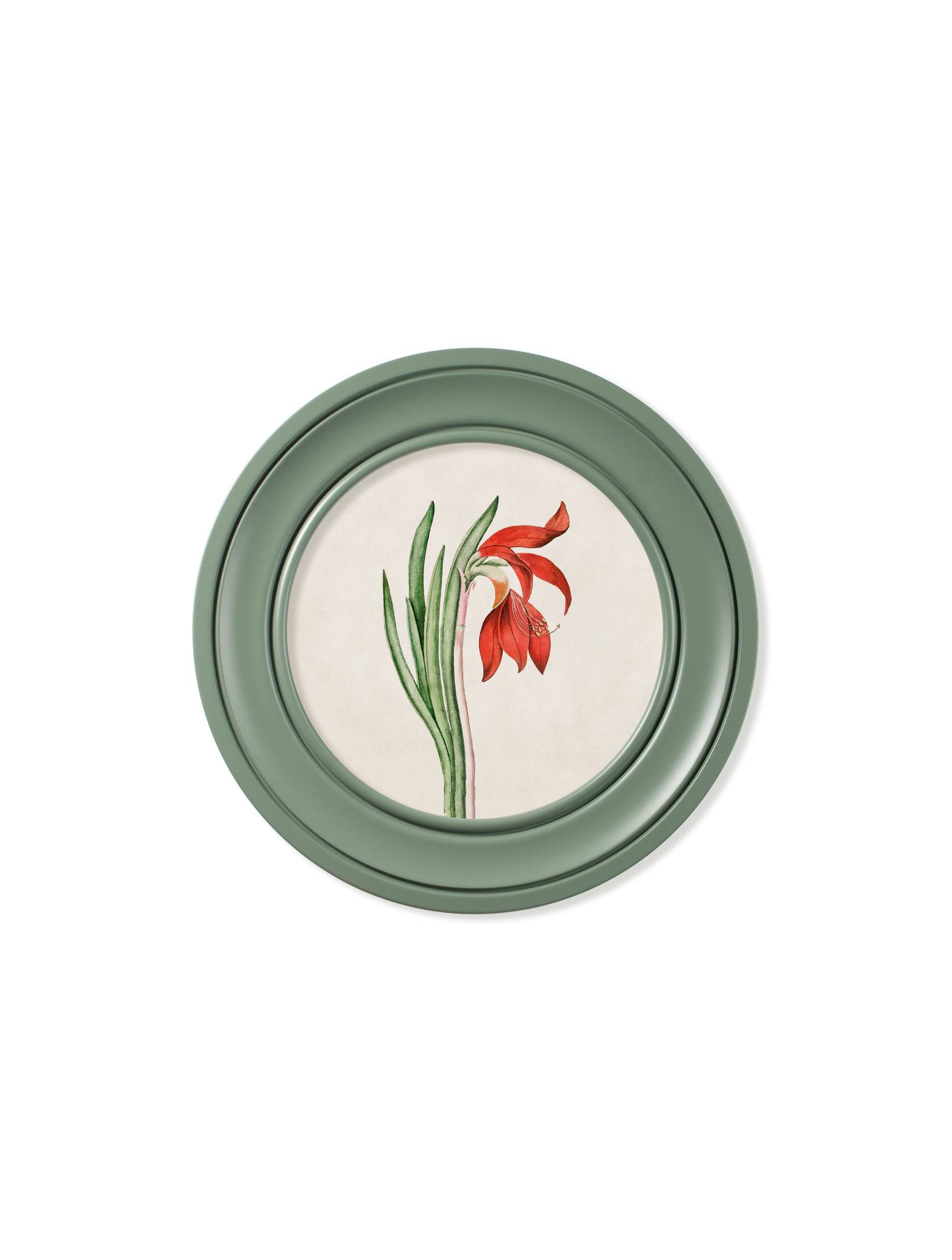 Shop antique green botanical wall art in round frames online