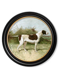 Shop antique hunting dog portrait art in circular frames online
