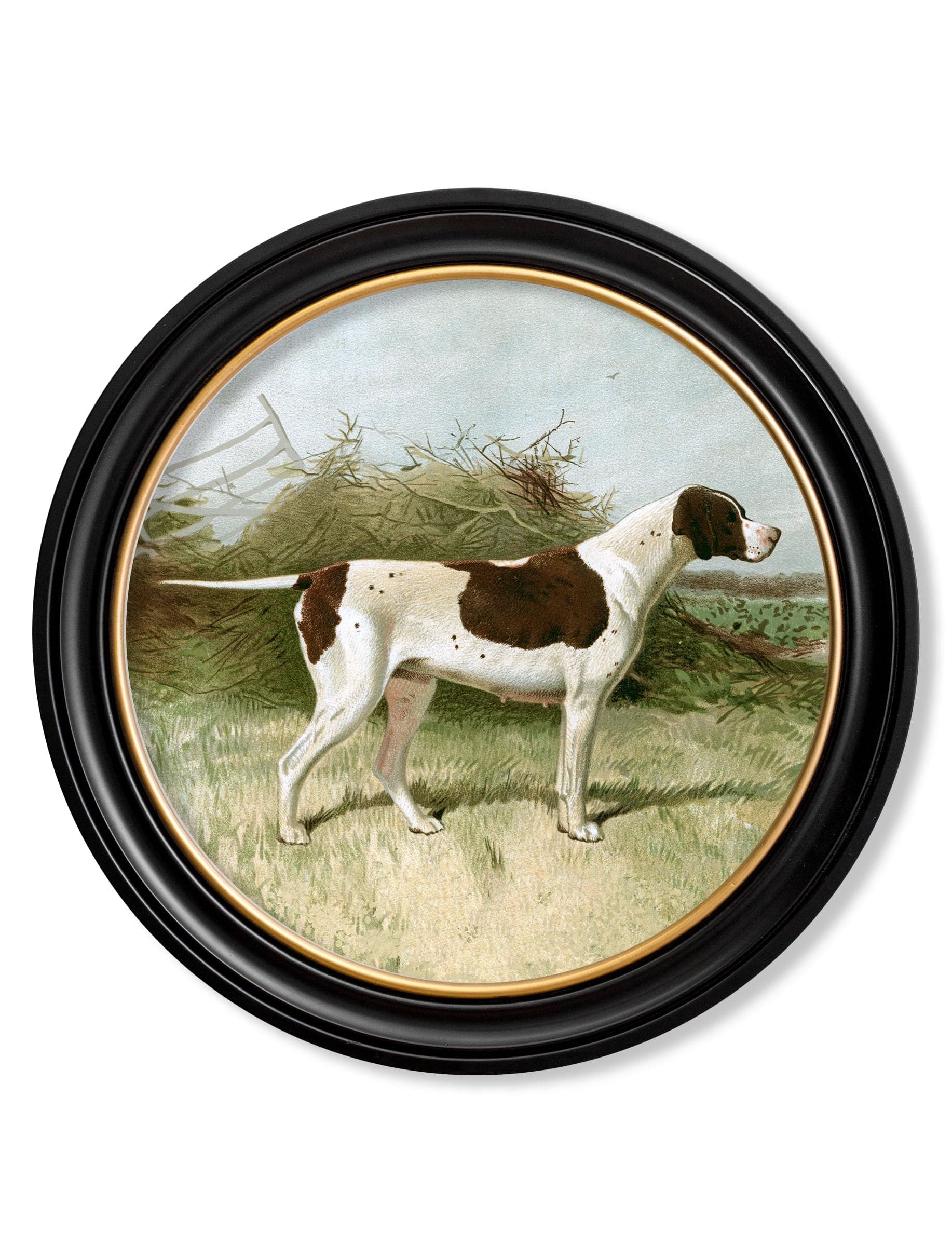 Shop antique hunting dog portrait art in circular frames online