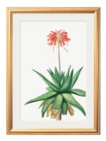 Shop antique red flower wall art set with gold frames