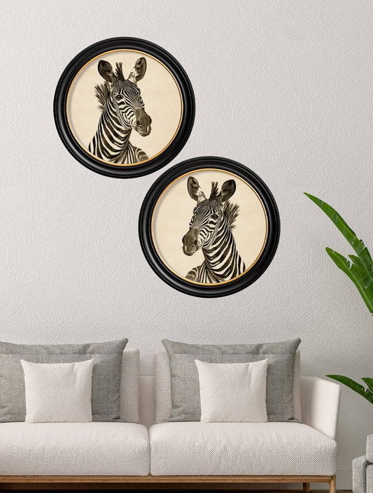 Shop antique zebra dark round framed print free UK delivery
