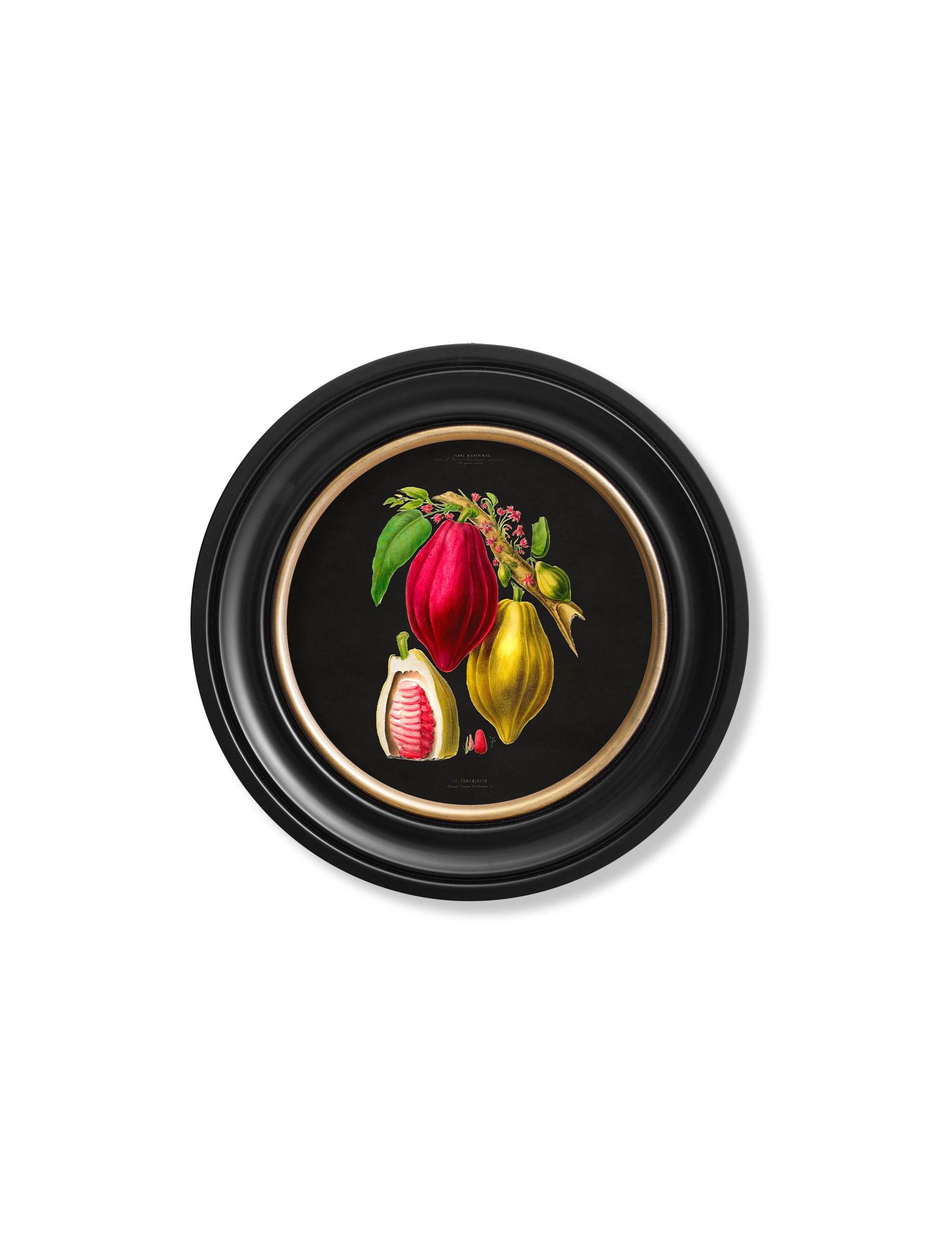 Shop botanical cocoa plant black round framed wall decor online