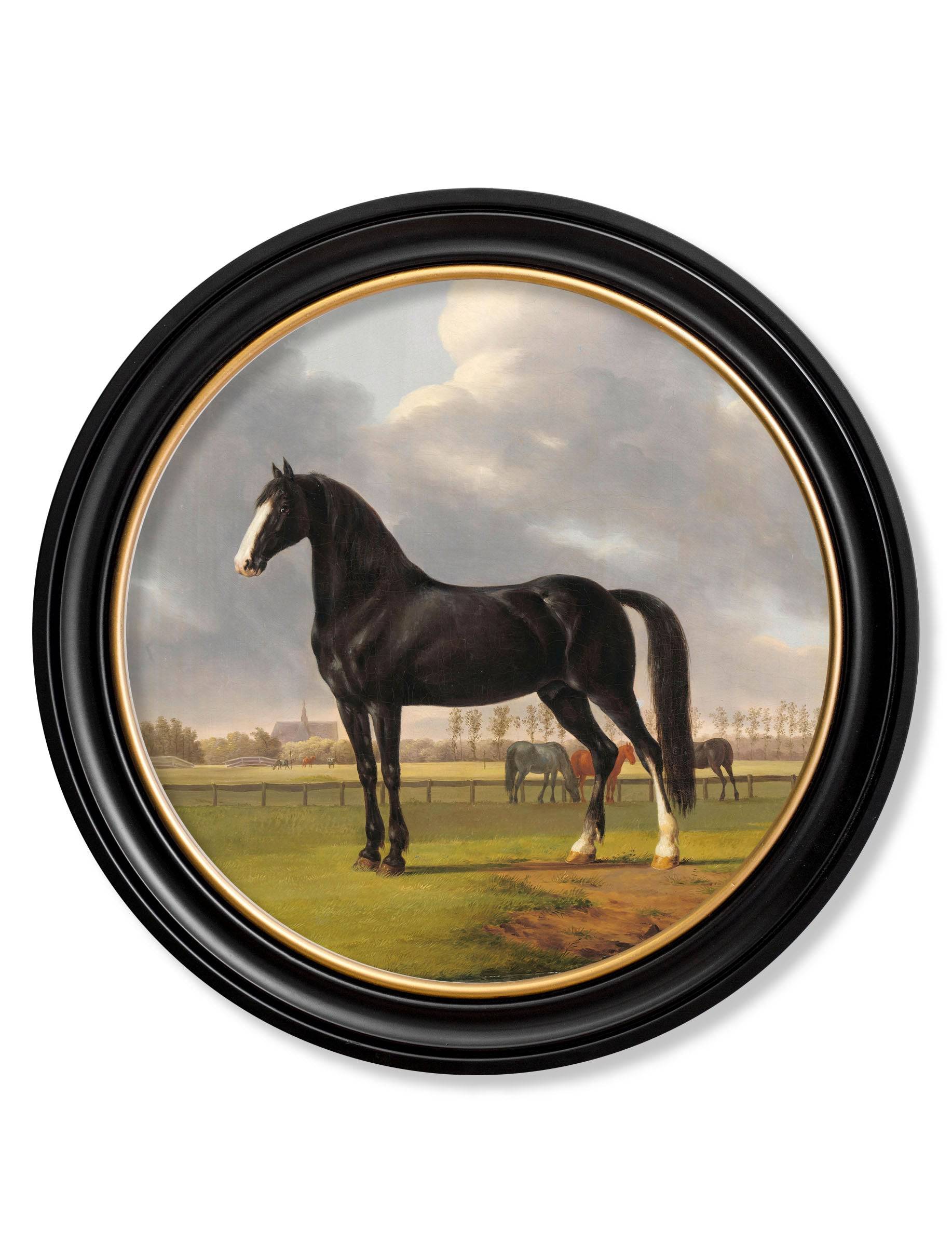 Shop c.1840 Horses Round Framed Print horse looking right online UK
