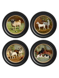 Shop c.1881 Dogs Round Frame Oxford Round print Blythe Living
