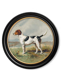 Shop c.1881 Gun Dogs modern round wood framed art print