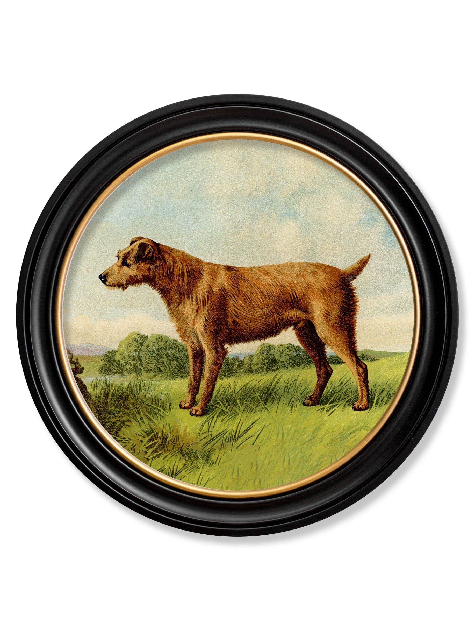 Shop c.1881 Terriers modern round wood framed art print