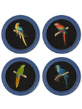 Shop c.1884 Collection of Macaws in Round Frames Blue vintage art