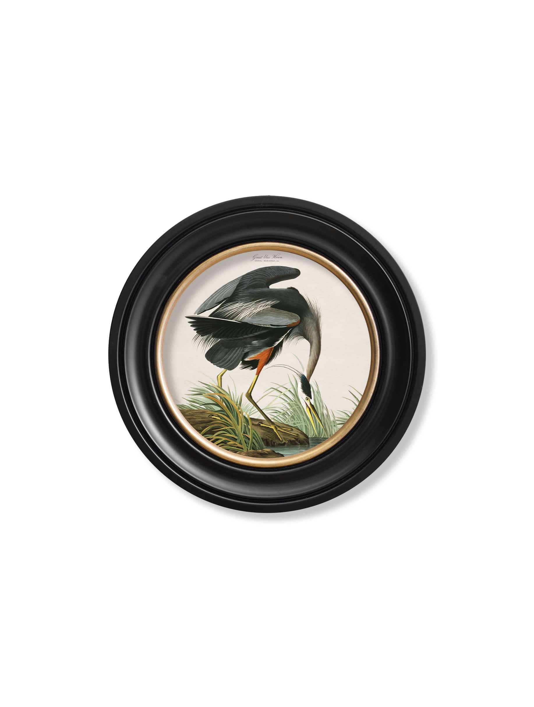 Shop circular framed bird wall art Oxford Round frame