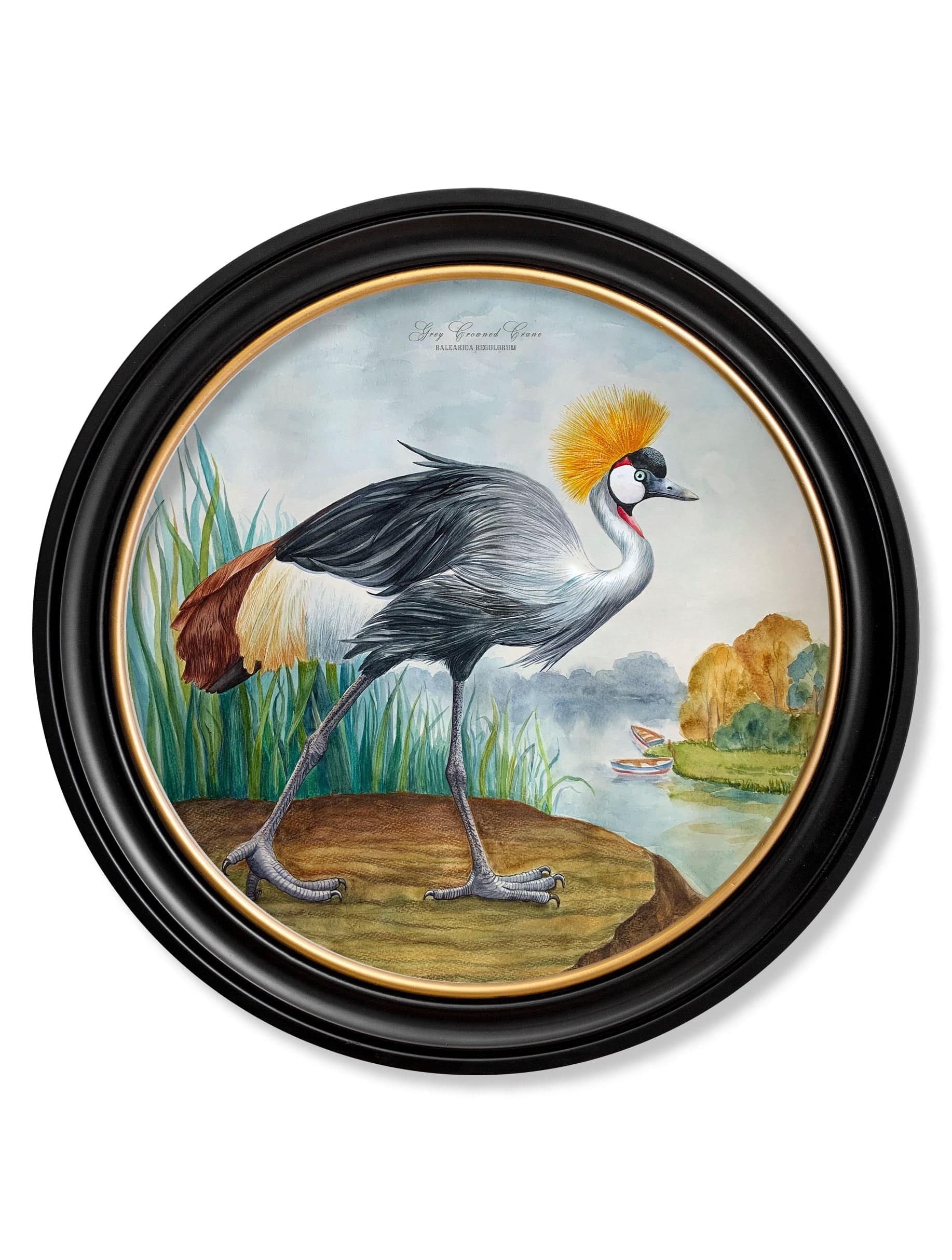 Shop large 70cm crane round framed wall art UK