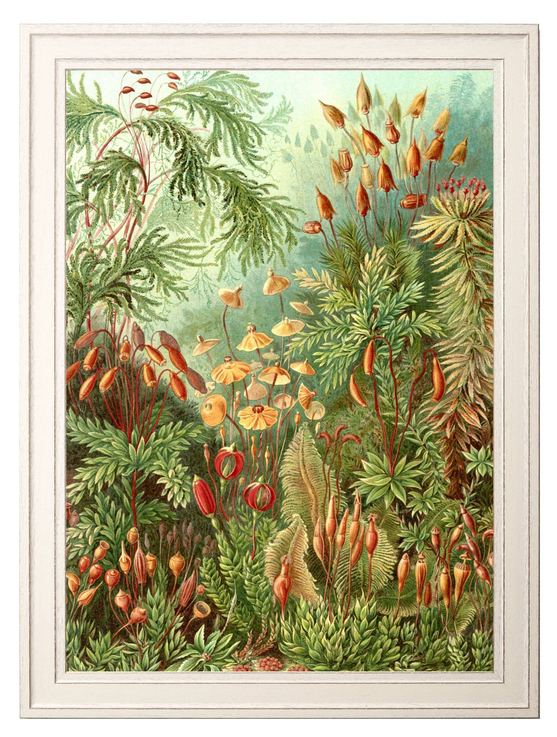 Shop large 70x95cm fern study wall art UK
