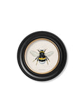 Shop vintage bumble bee illustration round wall decor