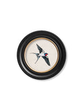 c.1875 Swallows in Round Frames - Blythe Living