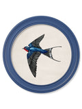 c.1875 Swallows in Round Frames Blue - Blythe Living