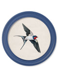 c.1875 Swallows in Round Frames Blue - Blythe Living