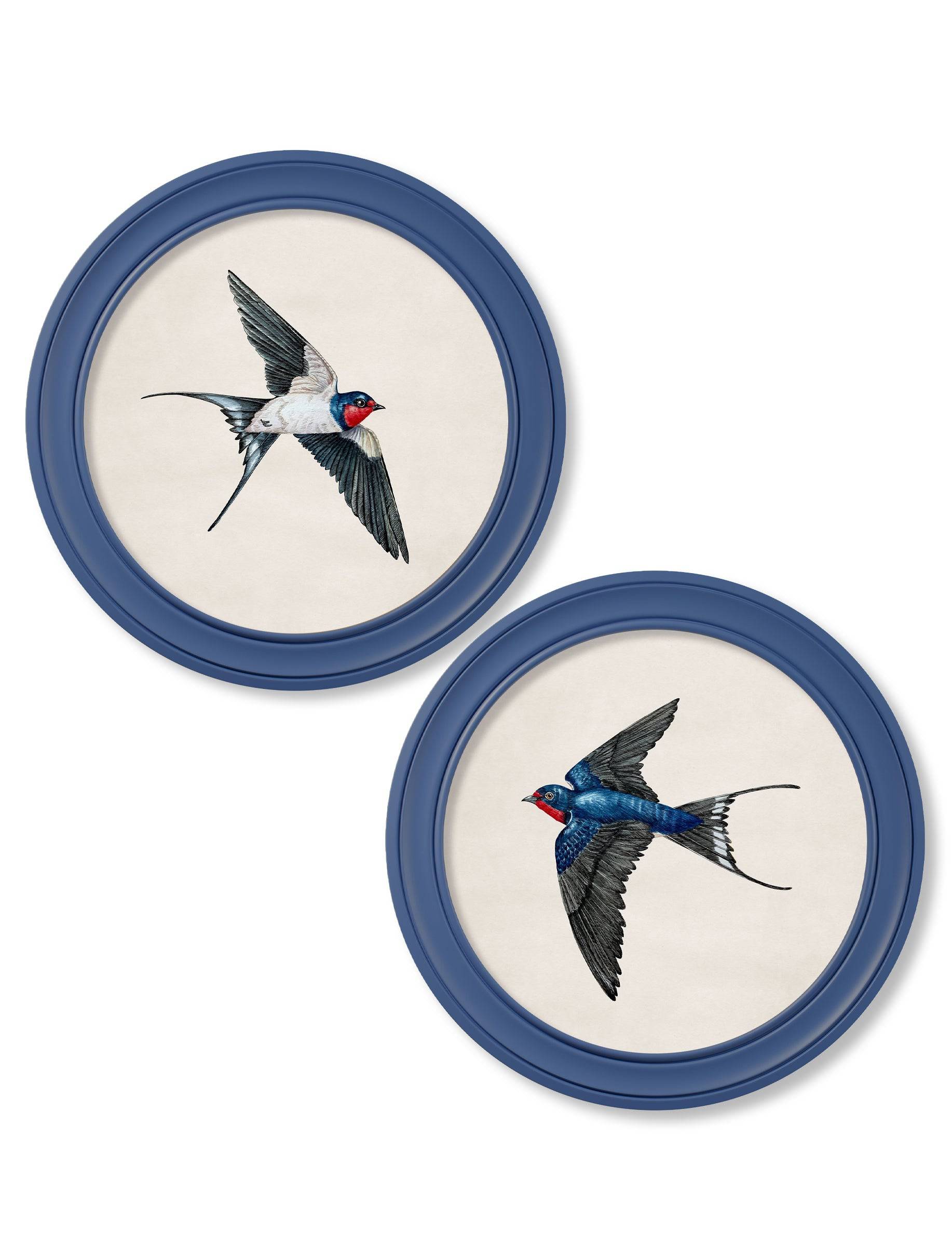 c.1875 Swallows in Round Frames Blue - Blythe Living