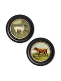 c.1881 Terriers - Round Frame - Blythe Living