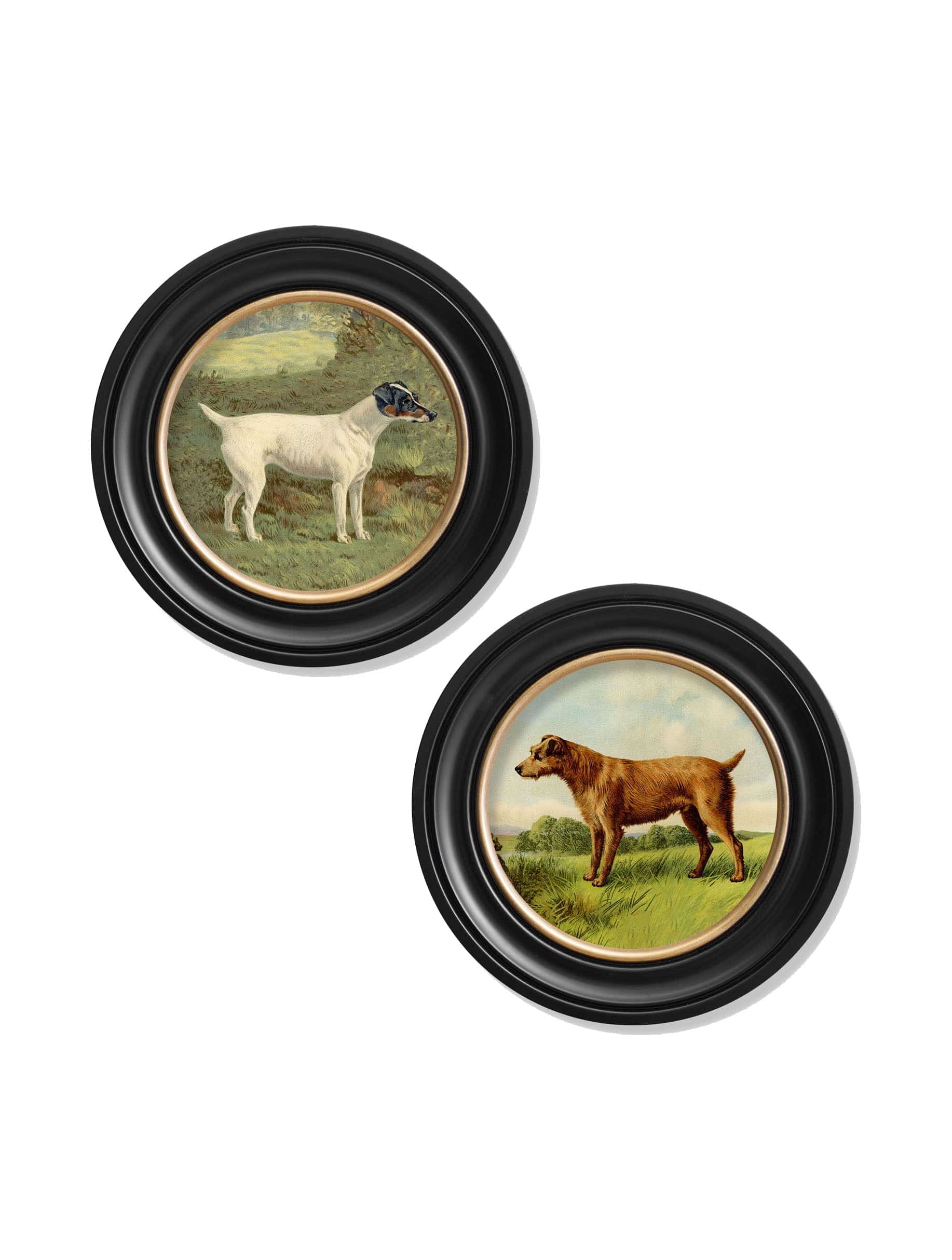 c.1881 Terriers - Round Frame - Blythe Living