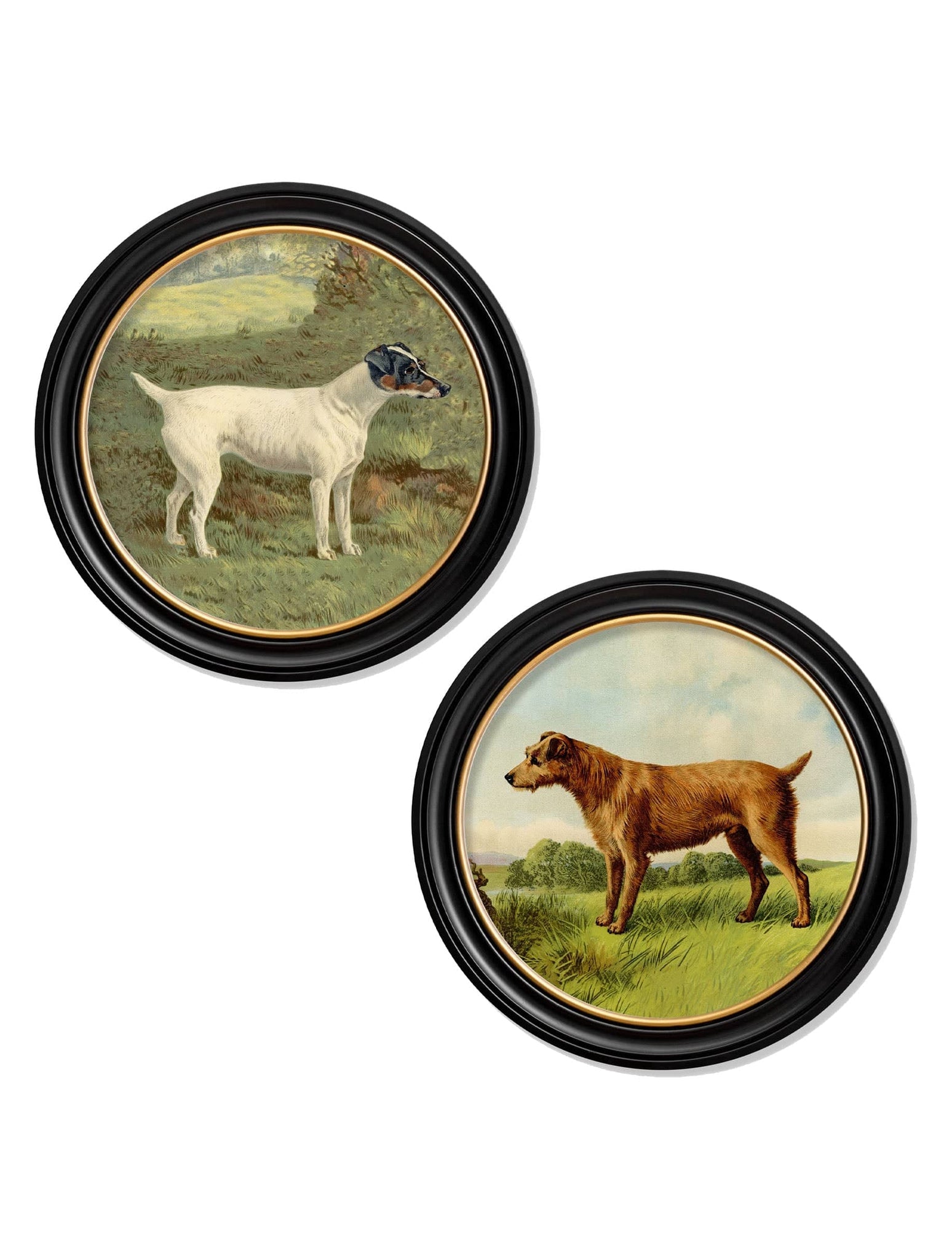 c.1881 Terriers - Round Frame - Blythe Living