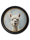 The Goofy Alpaca - Oxford Round Frame
