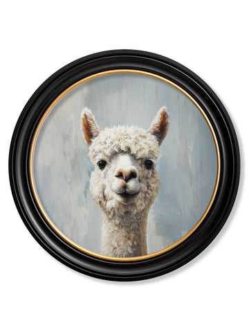 The Goofy Alpaca - Oxford Round Frame