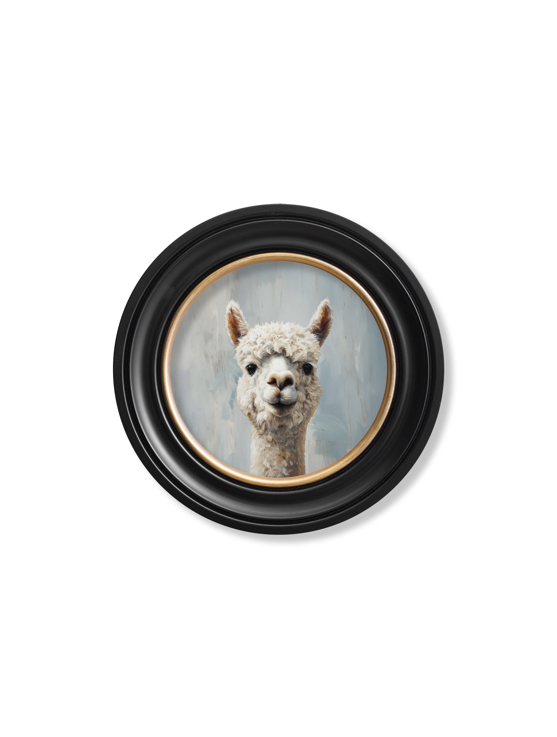 The Goofy Alpaca Oxford Round Frame for sale UK ready to hang
