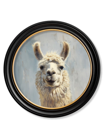 The Goofy Llama - Oxford Round Frame