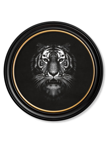 Wildlife Photography - Tiger - Round Frame - Blythe Living