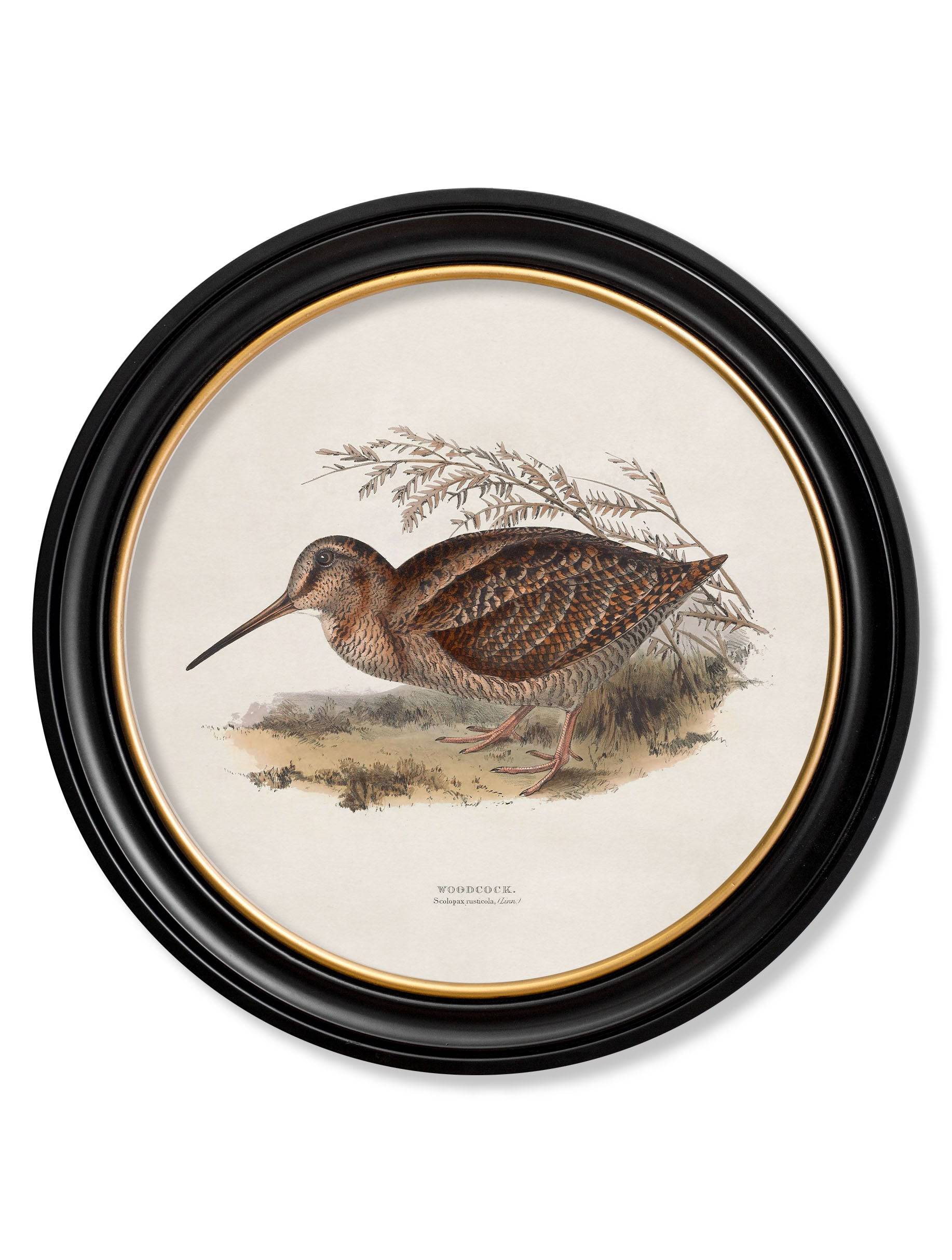 c.1837's British Game Birds - Round - Blythe Living