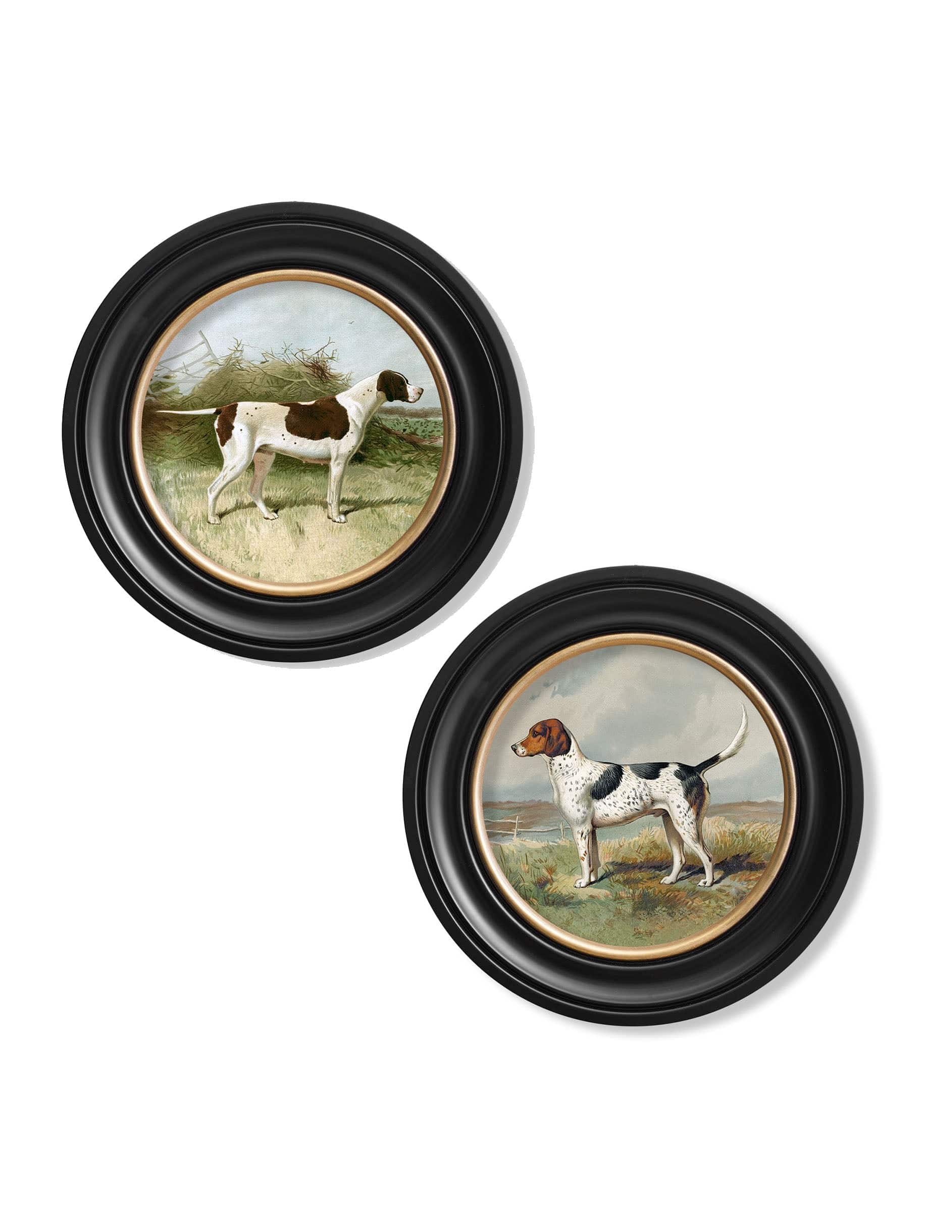 c.1881 Gun Dogs - Round Frame - Blythe Living