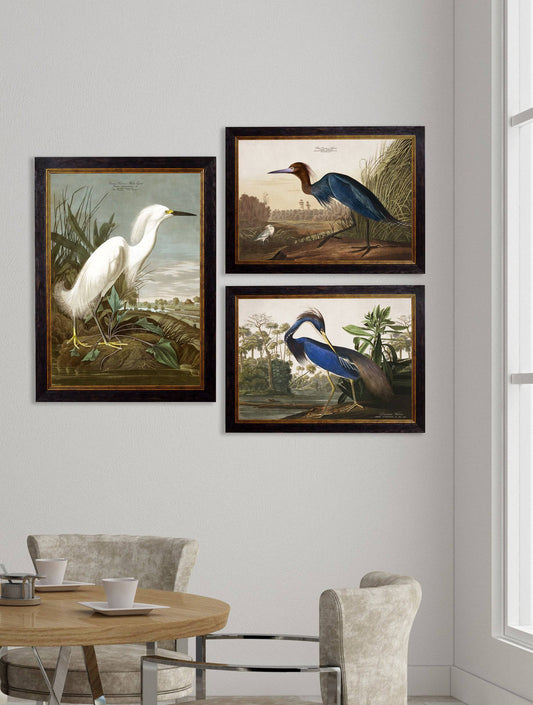 c.1838 Audubon's Herons - Blythe Living