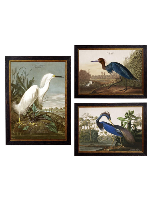 c.1838 Audubon's Herons - Blythe Living