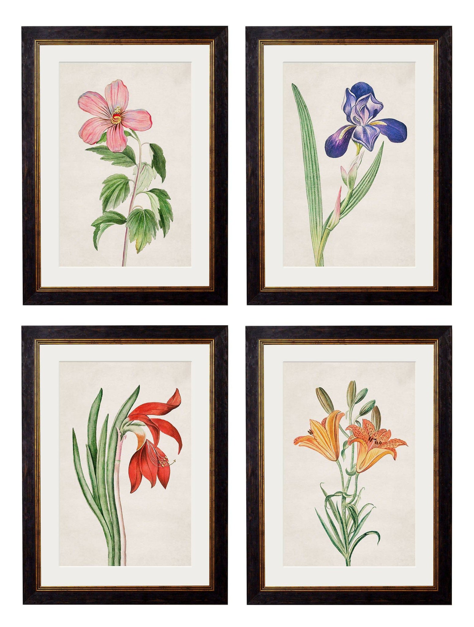 c.1780 Flowering Plants - Blythe Living